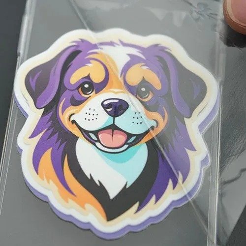 Phone Cases